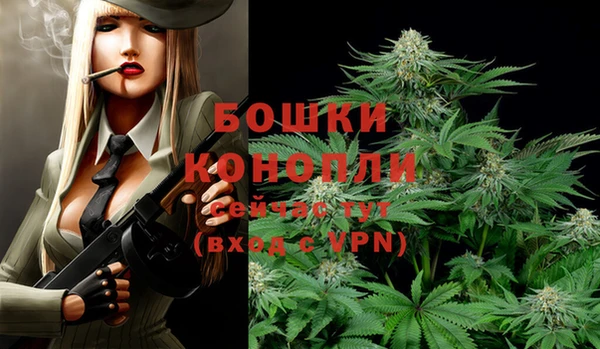мет Богданович