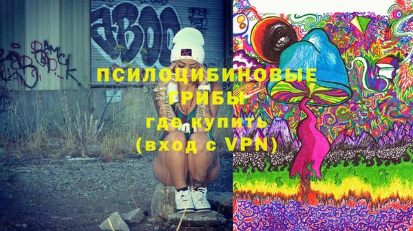 таблы Богородицк
