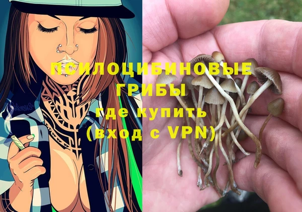 apvp Богородск
