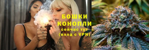 apvp Богородск